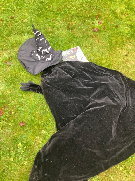 The only way to defeat the Wicked Witch of the West is to melt her with pure water. Or is it …? Image courtesy of photographer, Detta Cahill.