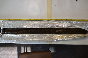 Seven metre long sediment core retrieved by Dr Hegarty and colleagues.