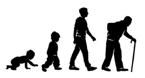 The Hallmarks of Aging edited by Palosirkka. Wkimedia Commons https://commons.wikimedia.org/wiki/File:Human_ageing.jpg