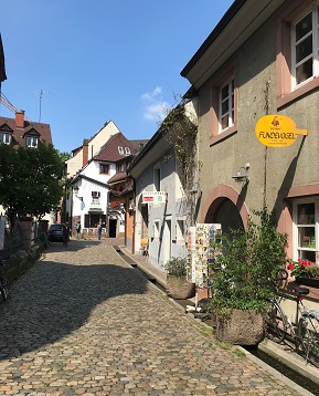 Cobble streets of Freiburg: A Children’s Literature Bookshop, courtesy of Dr. Maxim Fomin. 